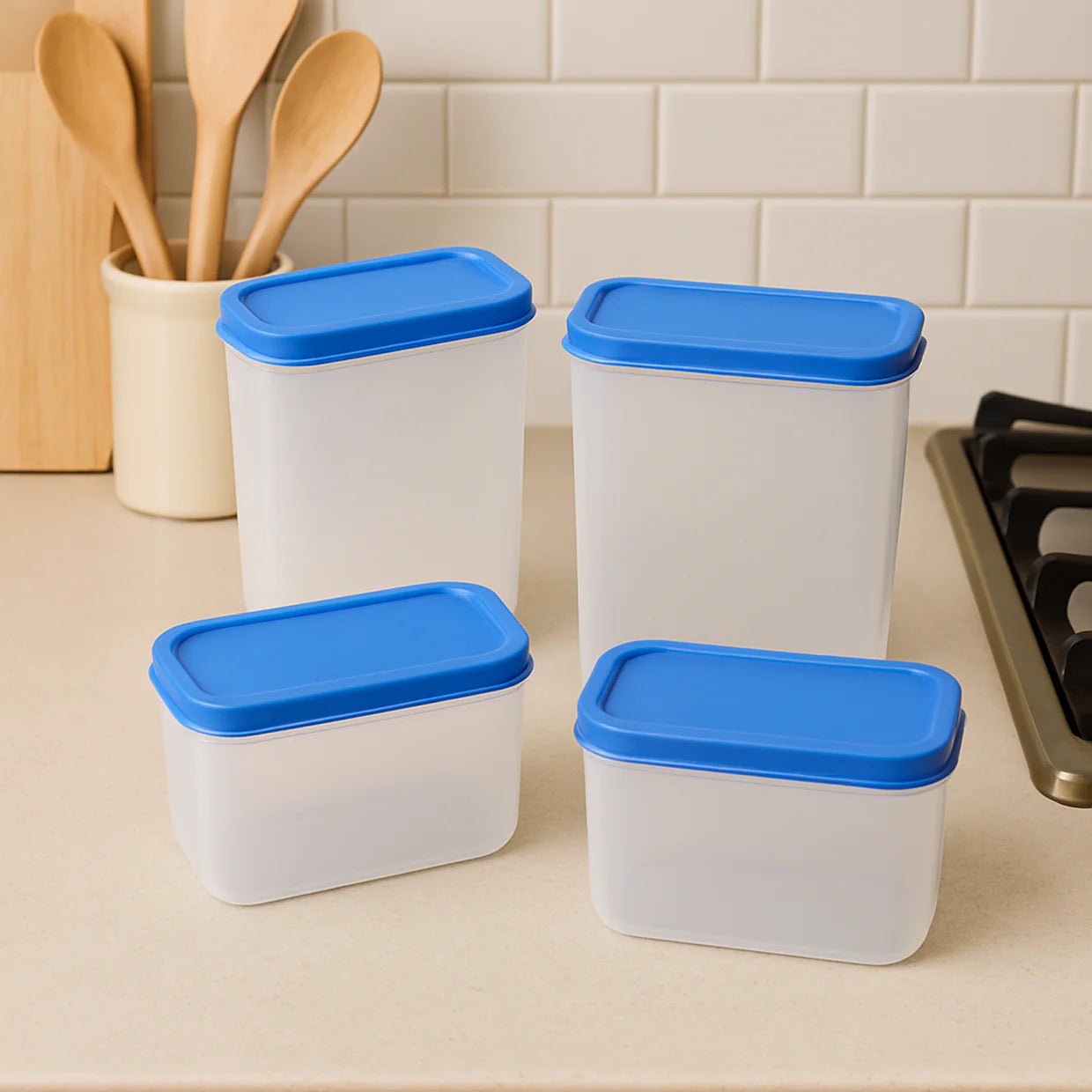 Happyclick Apex Glory Plastic Storage Container Box Set (4 Pc) - HappyClick