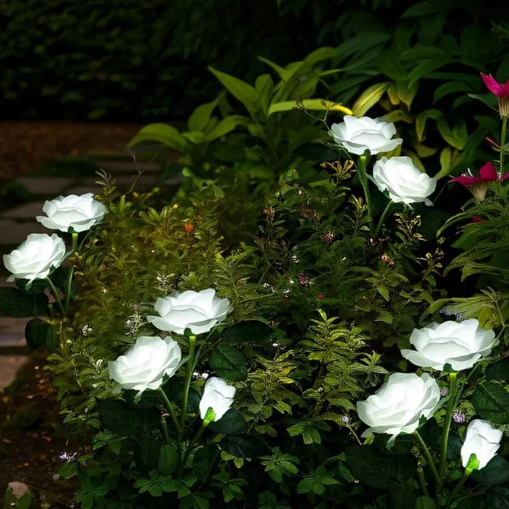 Happyclick Solar Powered Decorative Garden Flower Lights Set of 2 - HappyClick