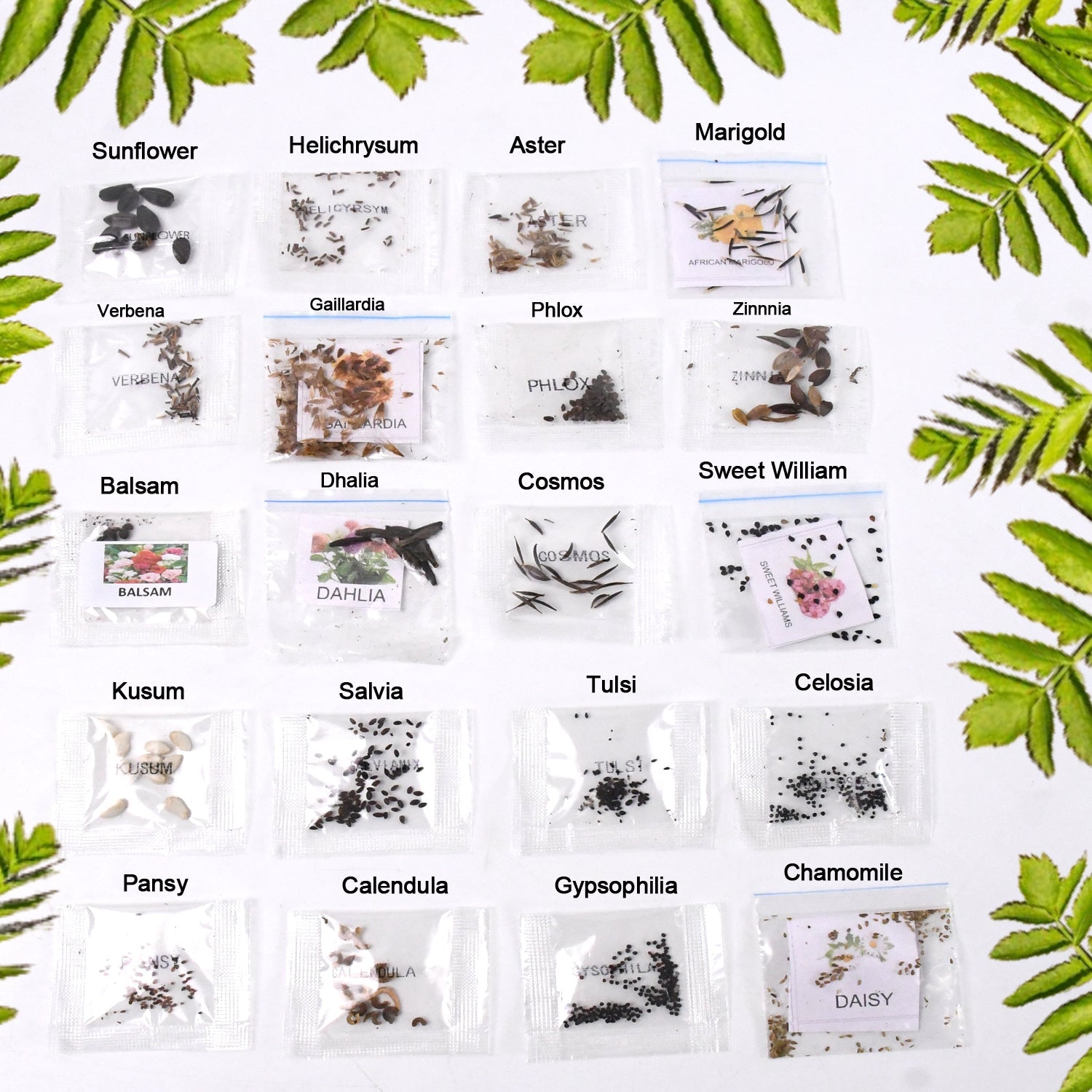 Mix of 20 flower seed varieties for garden blooms