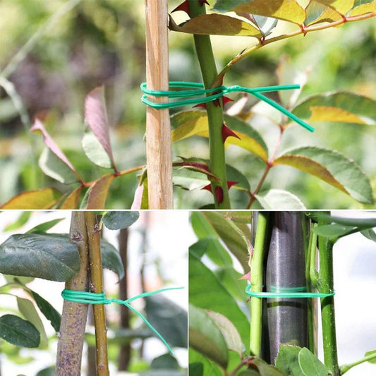 Plastic twist tie wire spool

Twist tie with cutter for garden

Garden wire spool green

Twist tie for plants

Green wire spool for yard

Wire twist tie with cutter

50m garden plant tie wire

Green plant support wire

Twist tie wire roll

Garden yard twist wire green