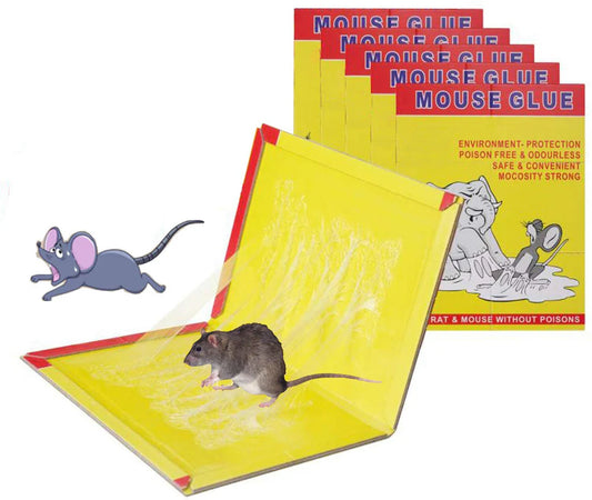 Mouse glue trap for rats
Rat catcher adhesive sticky pad
Buy mouse glue traps online
Non-toxic rodent glue trap
Sticky rat catcher pads
Effective mouse traps for home
Humane rodent control solution
Adhesive sticky pads for mice
