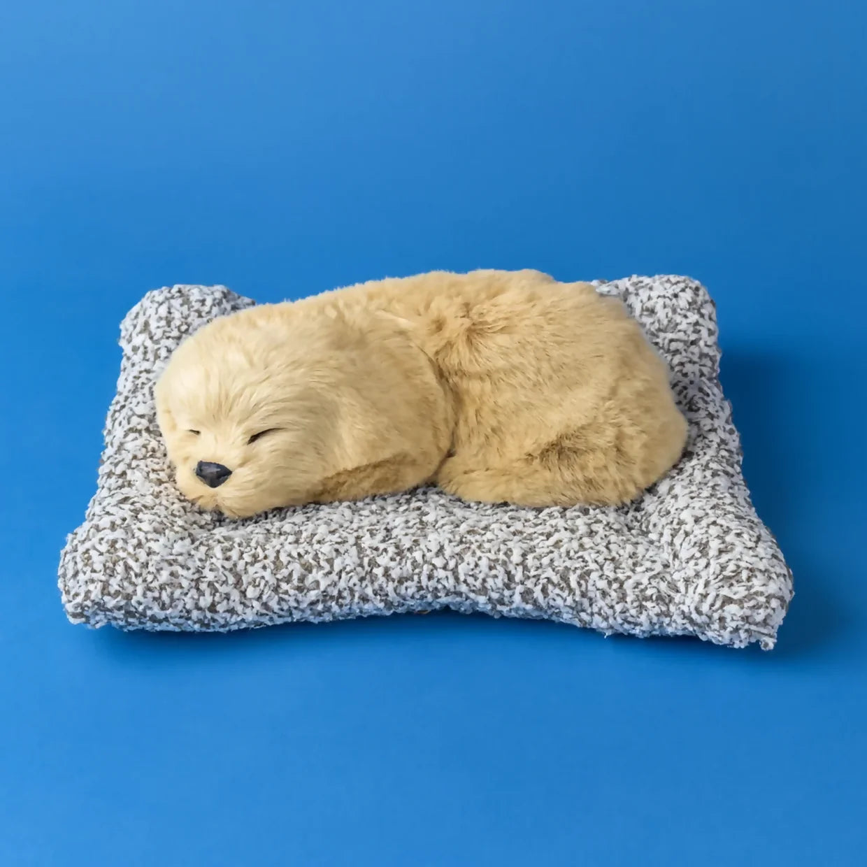 Happylick Realistic Sleeping Puppy Showpiece with Soft Cushion - HappyClick